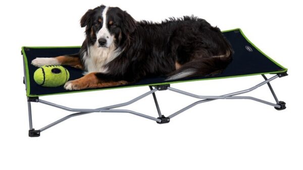dog bed Foldable camping   / couch. 122x62 cm black-lime treat your furry babies